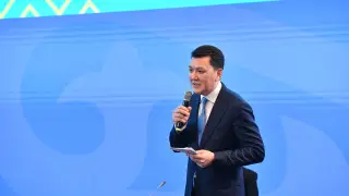 Карин: в рамках реализации инициатив Национального курултая принято 9 законов