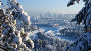 Новые правила, реформы и запреты: что изменил 2024 год