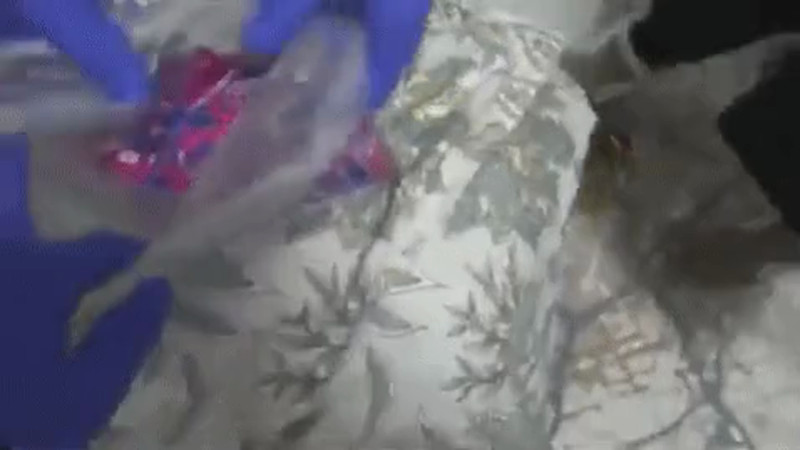 Кадры из видео