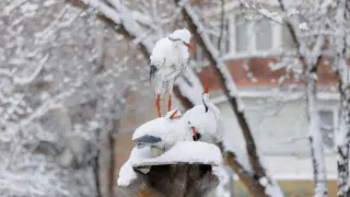 Казахстану угрожают метель и похолодание - прогноз на выходные