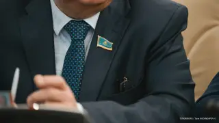 Будут ли досрочные парламентские выборы, ответил Токаев