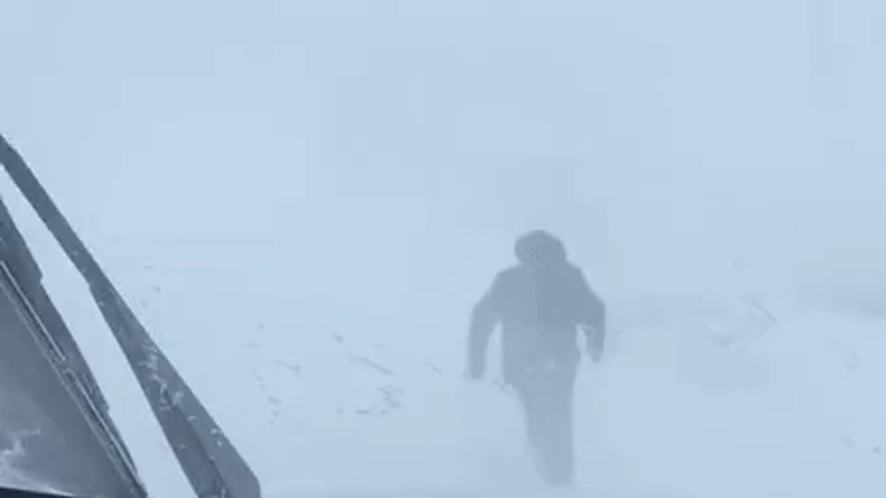 Кадры из видео