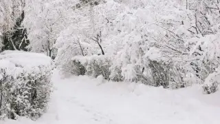 Метель и 25-градусный мороз: погода в Казахстане на 6 января