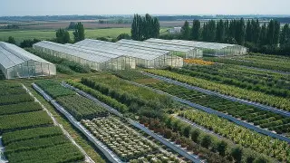 В Павлодарской области отменили решение акимата и вернули землю студентам