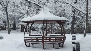 Алматы засыпало снегом