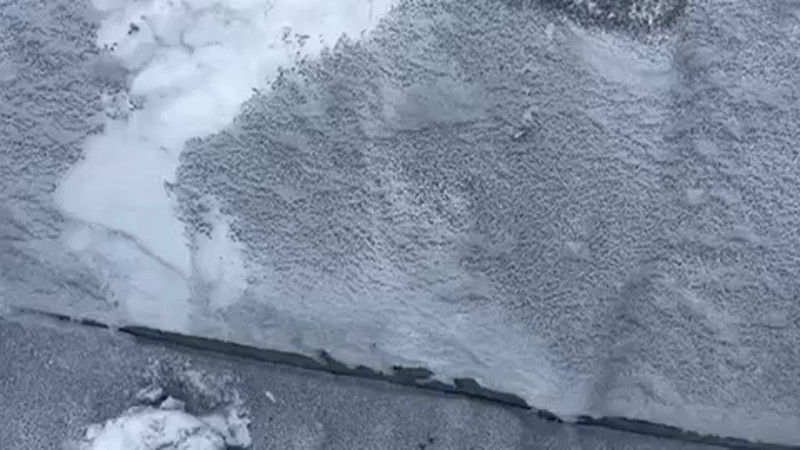 Кадры из видео