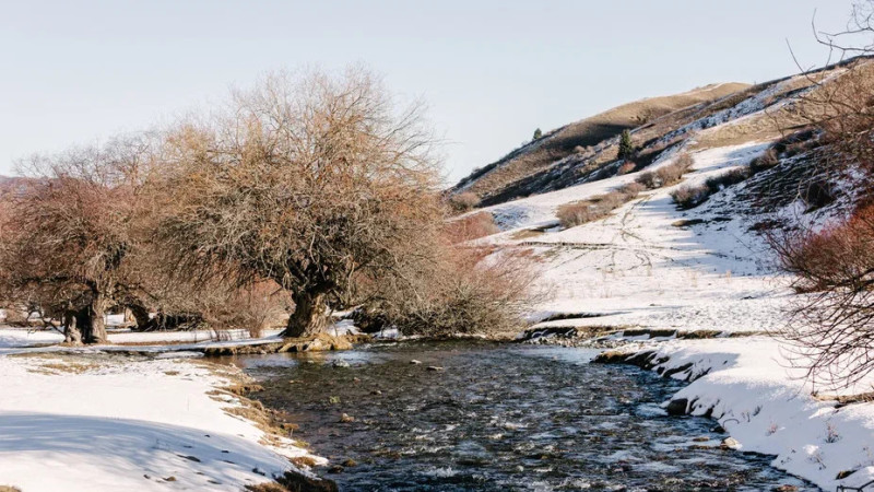 Иллюстративное фото ©️ Tengrinews.kz