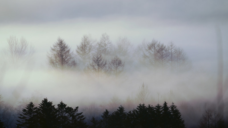 Фото:depositphotos.com