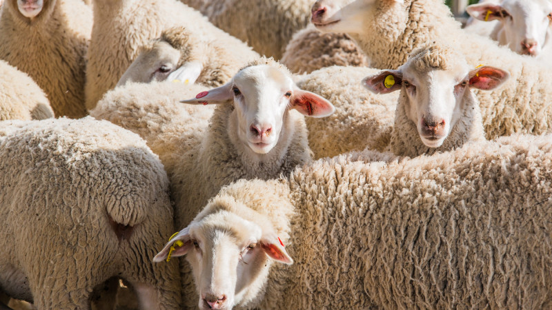 Фото:depositphotos.com