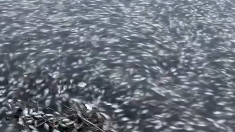 Кадры из видео