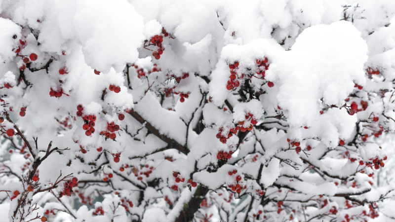 Фото:depositphotos.com