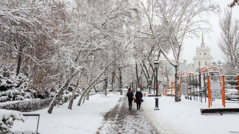 Фото ©️ Tengrinews.kz / Алихан Сариев