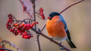 Готовьтесь к сильным морозам: погода в Казахстане резко изменится