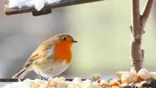 “Собрали за 3 дня“: алматинцы покорили соцсети своей добротой