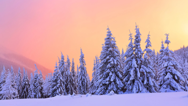 Фото:depositphotos.com