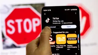 Какие страны запретили использовать TikTok