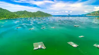 Новые авиарейсы свяжут Казахстан с Китаем, Вьетнамом и Египтом