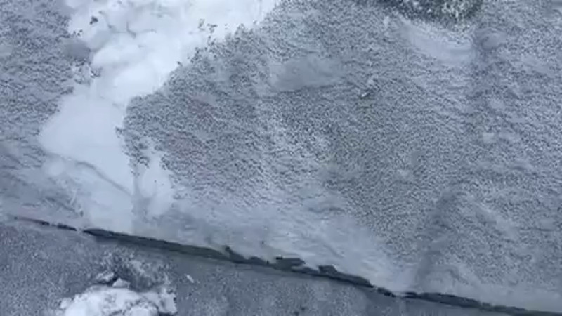 Кадры из видео