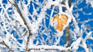 Идут 32-градусные морозы: погода в Астане на 3 дня