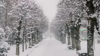 Снегопад и 28-градусные морозы: погода в Казахстане на 22 января