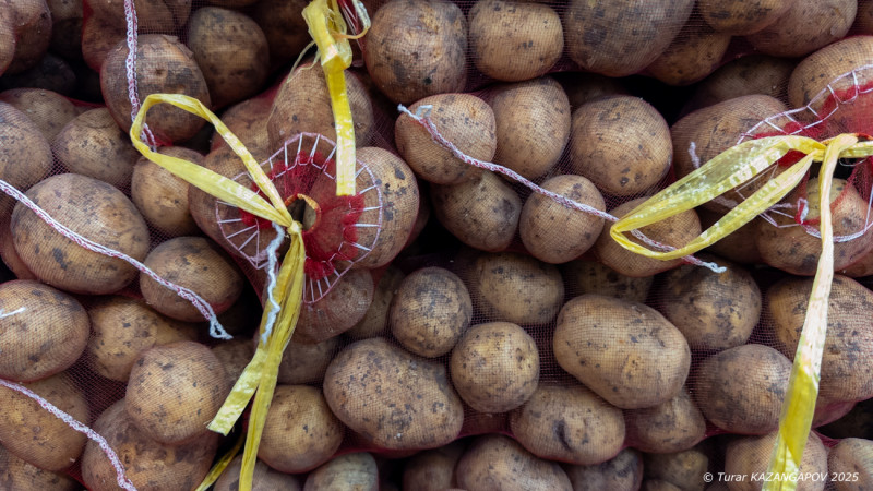 Фото ©️ Турар Казангапов