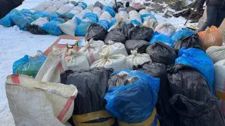 КНБ перекрыл крупный канал поставки наркотиков в Астану