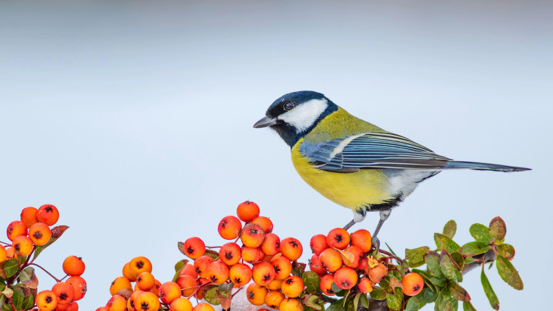 Фото:depositphotos.com