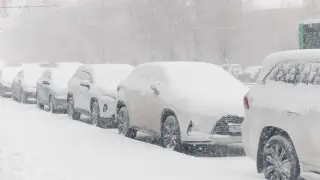 “5 минут достаточно“: казахстанцы снимают видео в ответ министру экологии