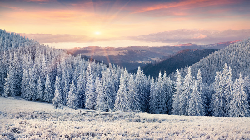 Фото:depositphotos.com