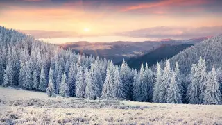 Сильные морозы до -31 надвигаются на Алматинскую область