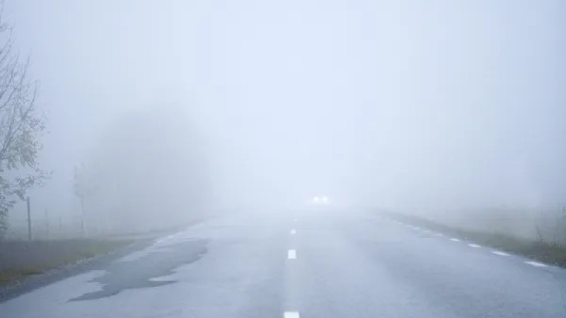 Фото:depositphotos.com