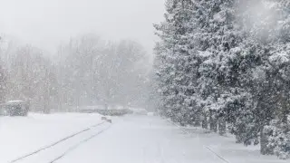 Дождь и мокрый снег принесет циклон в Казахстан