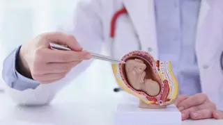 Новость о введении в Казахстане налога на бездетность прокомментировал депутат