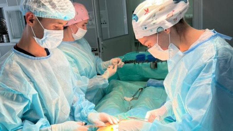 Фото пресс-службы акима Трукестанской области