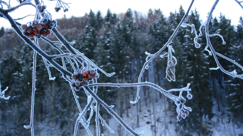 Фото:depositphotos.com