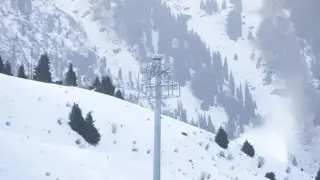 На смену снегу идет туман и мороз: погода в Алматы с 31 января по 2 февраля