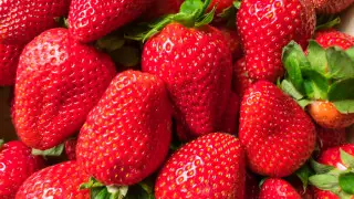 Клубника против старения: что показало исследование немецких ученых