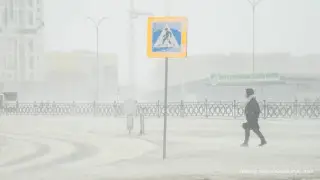 Снег, метель, сильный ветер: в ряде регионов и Астане объявили штормовое предупреждение