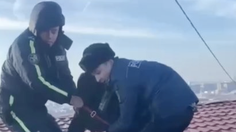 Кадр из видео