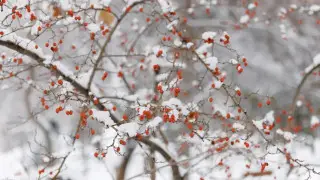 Штормовые предупреждения в 17 регионах распространил Казгидромет