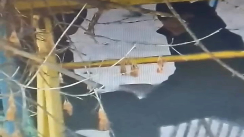 Кадры из видео