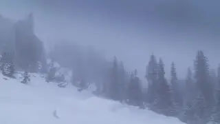 Туман и гололедица: погода в Алматы на 5-7 февраля