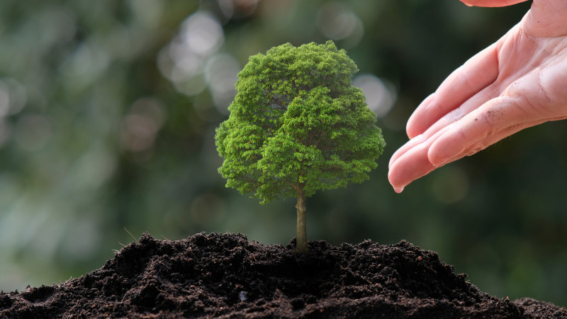 Фото:depositphotos.com