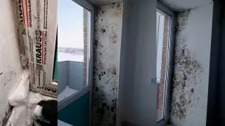 Холод и черная плесень. На выделенное после паводков жилье пожаловались атбасарцы