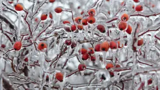 Новые статьи вводят в Уголовный кодекс, морозы надвигаются на Казахстан: коротко о главном 5 февраля