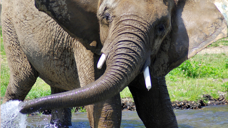 Фото:depositphotos.com