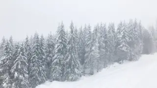 Туман до 10 февраля окутает Алматы