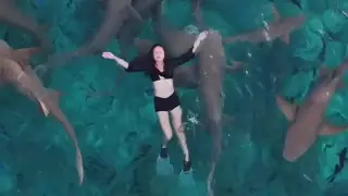 Кровавый ужас: акула напала на блогера во время съемок