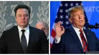 Илон Маск признался в мужской любви к Дональду Трампу