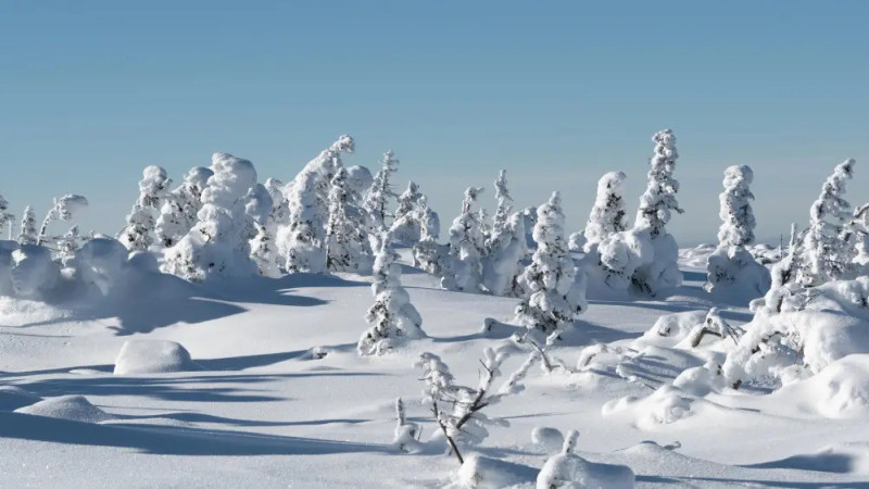 Фото:depositphotos.com